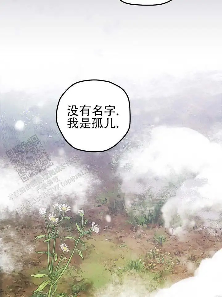 永生之庭 - 容光焕发 - 第31页