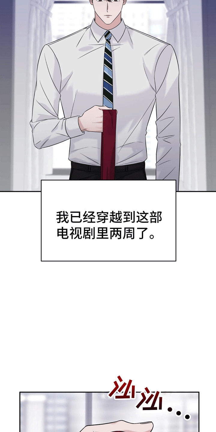 秘书生存日记 - 脾气糟糕的代表 - 第6页