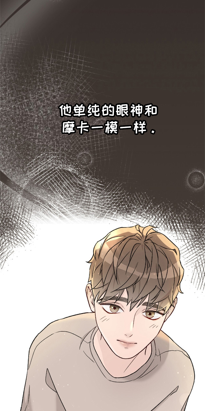 爱犬宝贝 - 摩卡 - 第16页