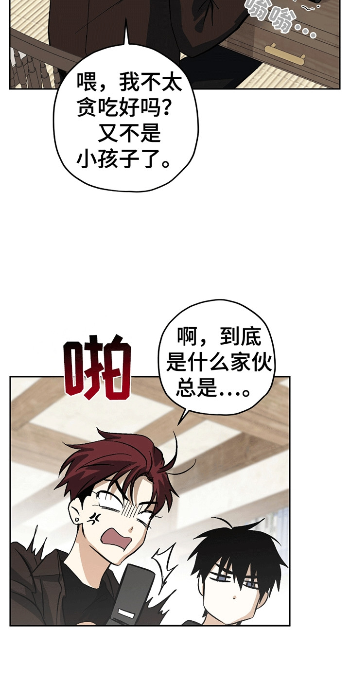 不是冤家不聚头 - 学习 - 第13页