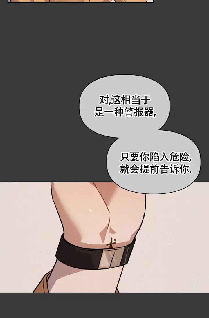 诱饵 - 危险信号 - 第12页