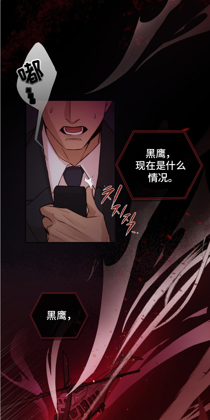 幸存者的曙光 - 黑鹰坠落 - 第17页