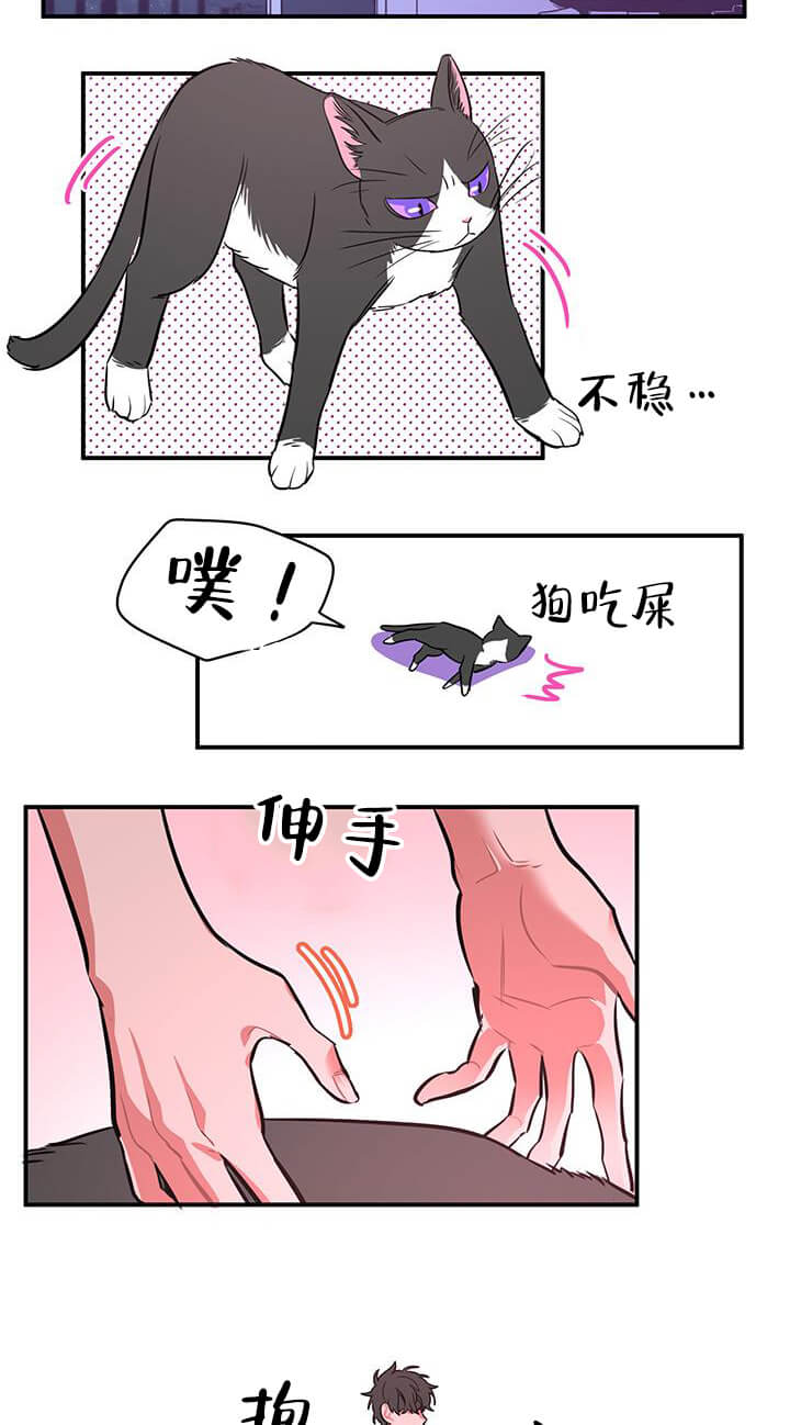 交错的海洋 -   - 第11页