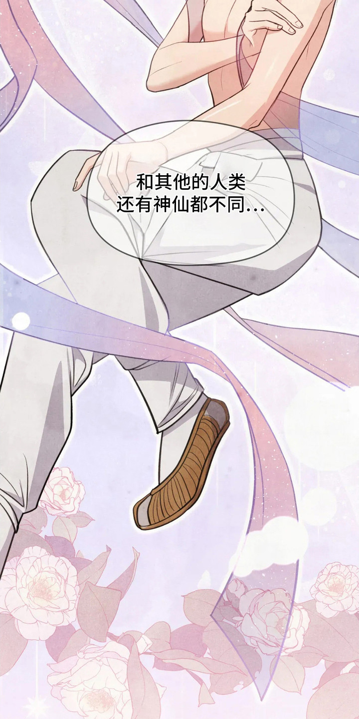 虎糕传 - 相思病 - 第11页