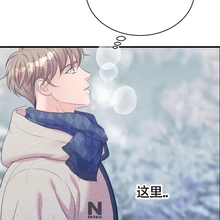 雪融化的那天 - 唯一的光 - 第64页
