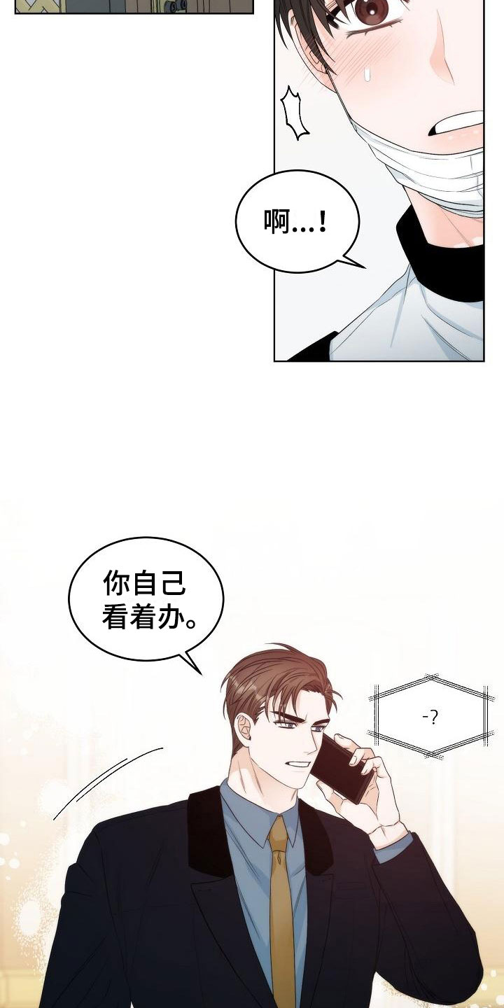 曼哈顿罗曼史 - 互换 - 第14页