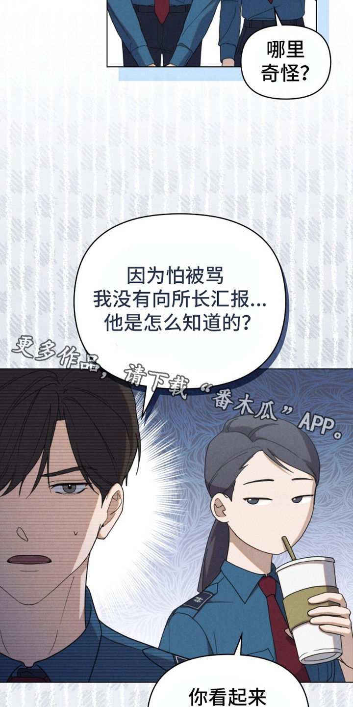 伪装浪漫 - 检讨 - 第12页