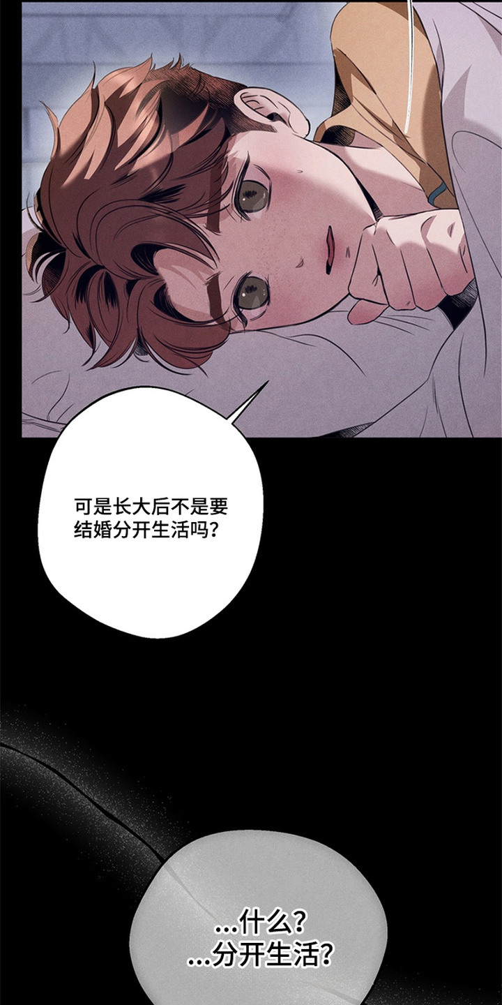 开发誓约 - 领养 - 第24页