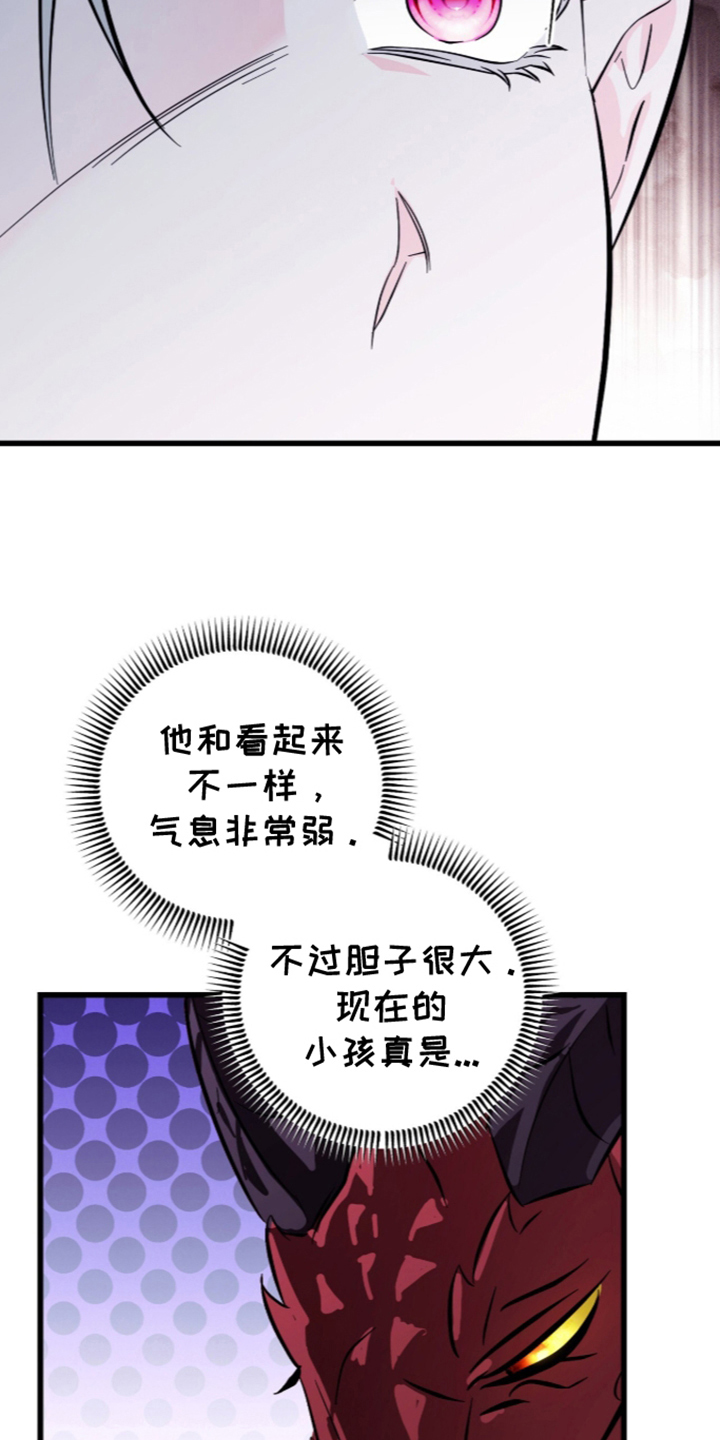 吃掉我的那条龙 - 初生牛犊不怕虎 - 第25页