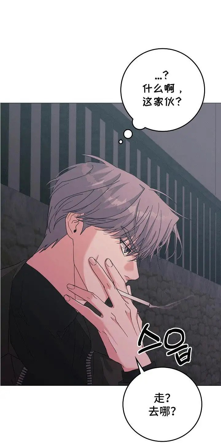 单身即地狱 - 勇敢一次 - 第16页