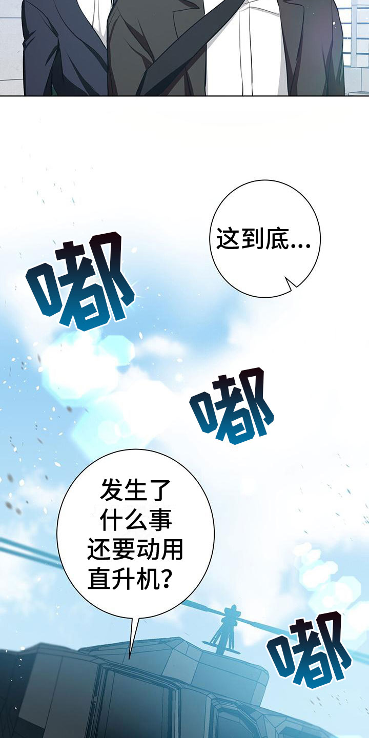 眩晕 -  新生训练营 - 第14页
