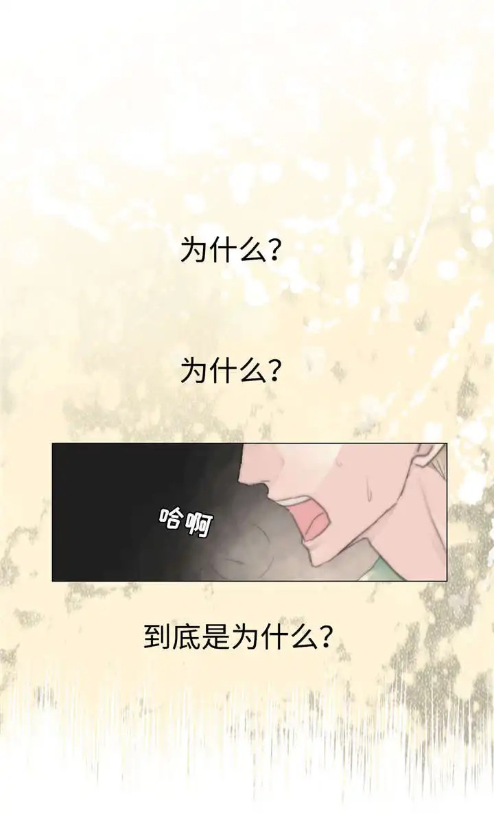 不会放你走 - 再次出现 - 第6页