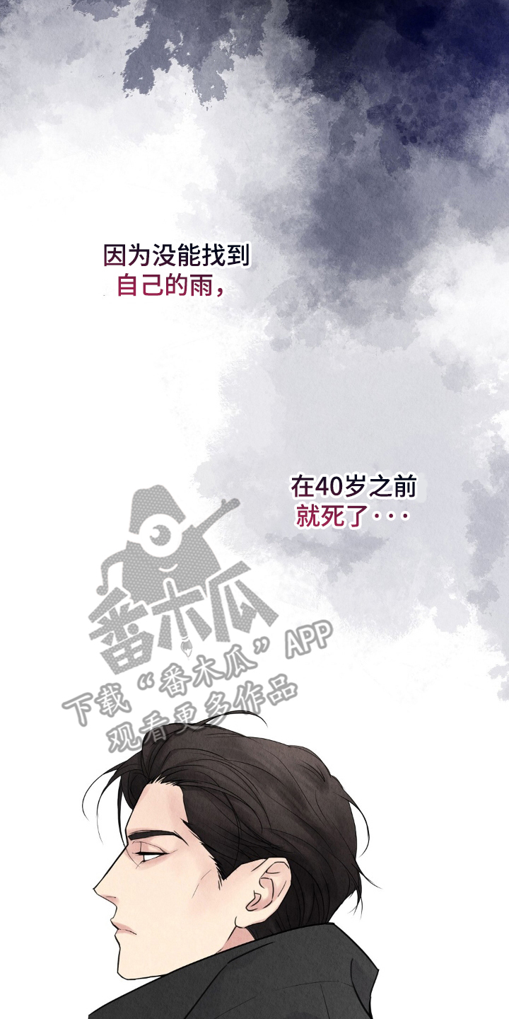 雨无痕 - 雨水 - 第19页