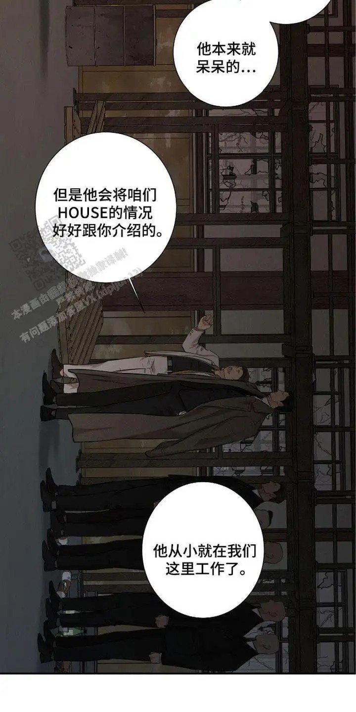三月的樱花 - 打招呼 - 第7页