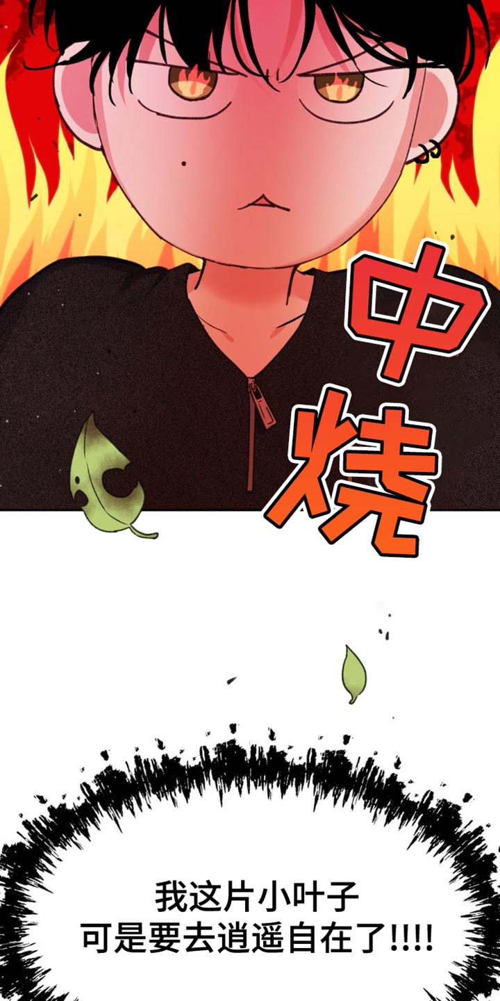 随声而动 - 呆头呆脑 - 第10页