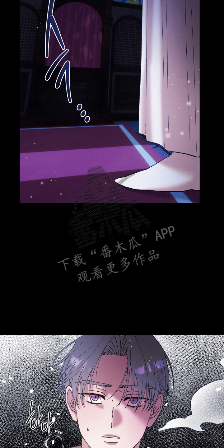 圣灵的果实 - 弥撒 - 第5页