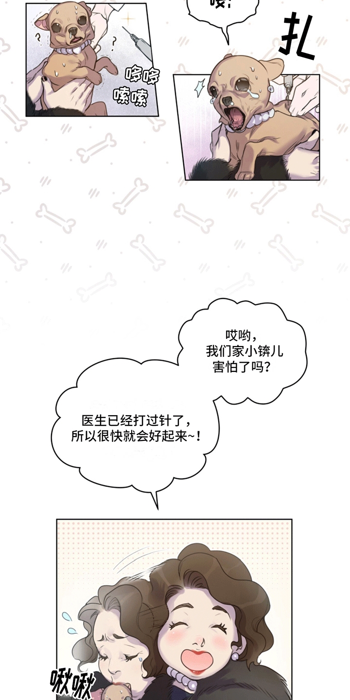 呼吸的记忆 - 兽医 - 第5页