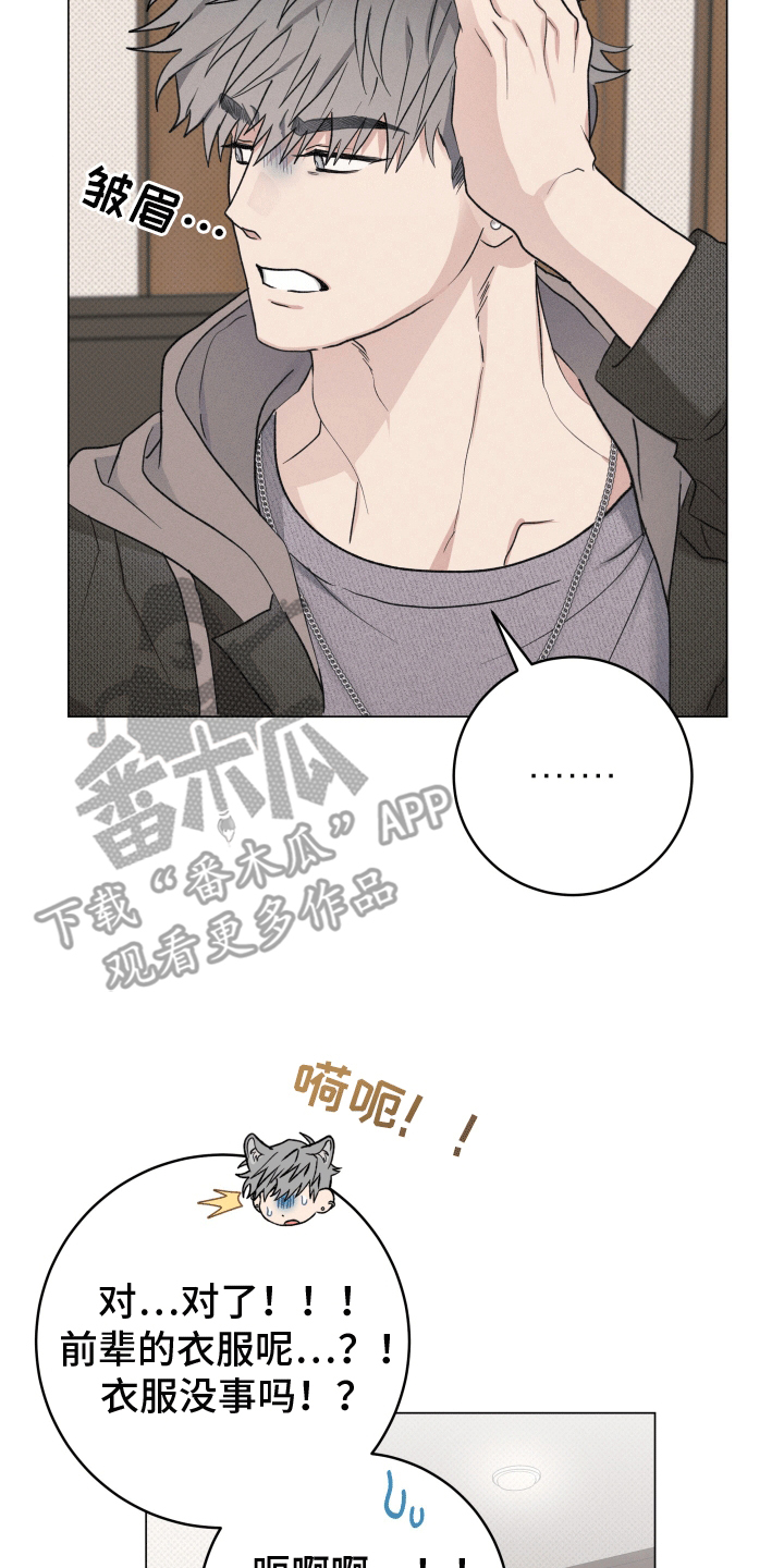 狼狗饲养日记 - 他的秘密 - 第19页