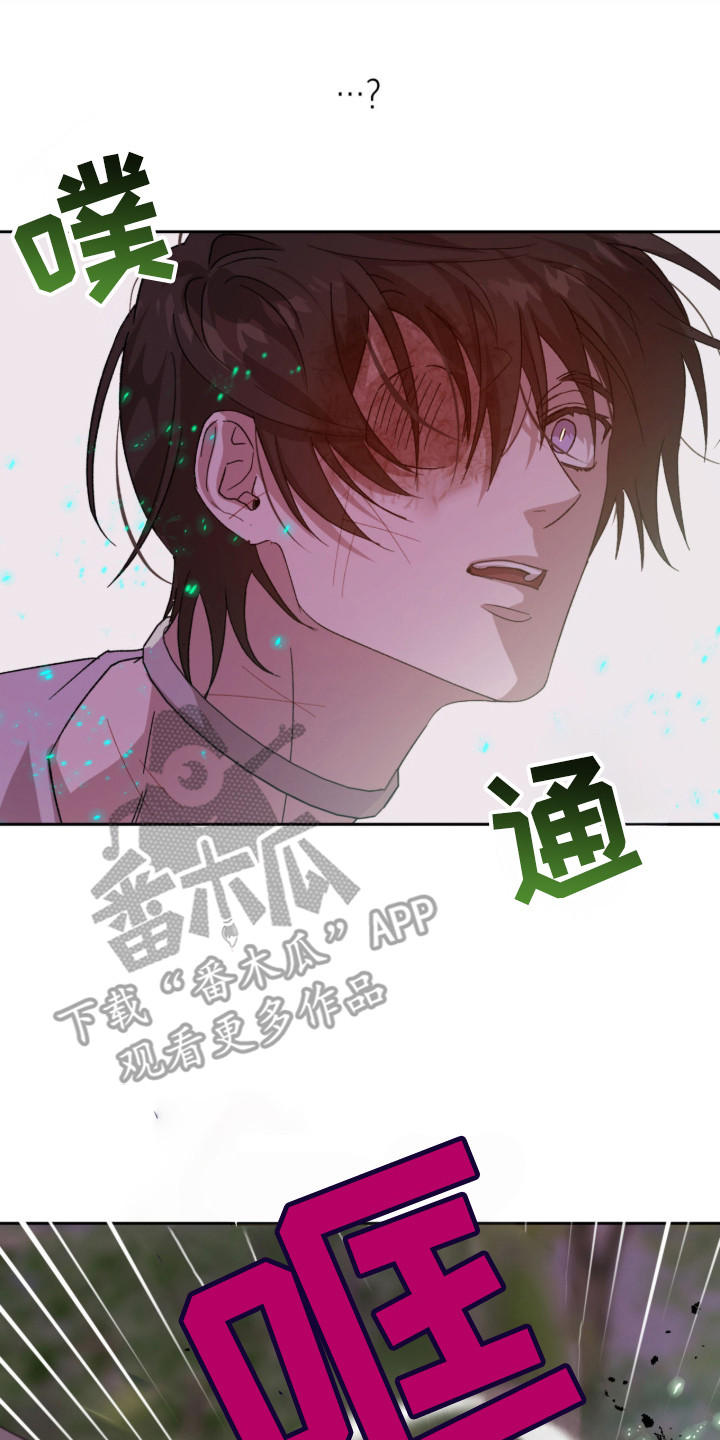 双生悲愿 - 争取时间 - 第18页