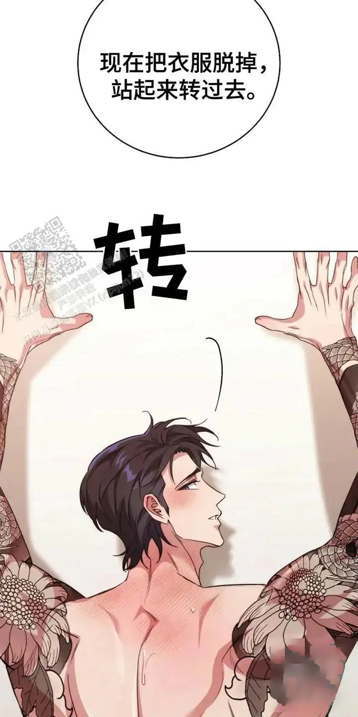 梦幻应用程序 - 命令 - 第29页