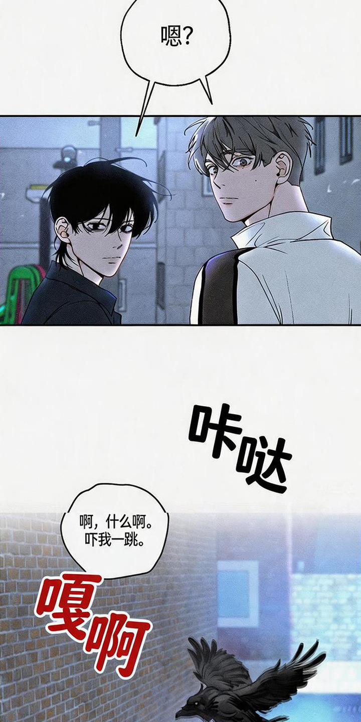 拳心拳意 - 不祥的预感 - 第13页