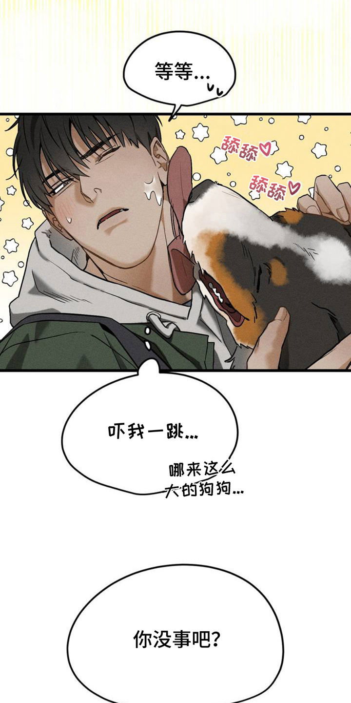 异国替身 - 相似 - 第12页