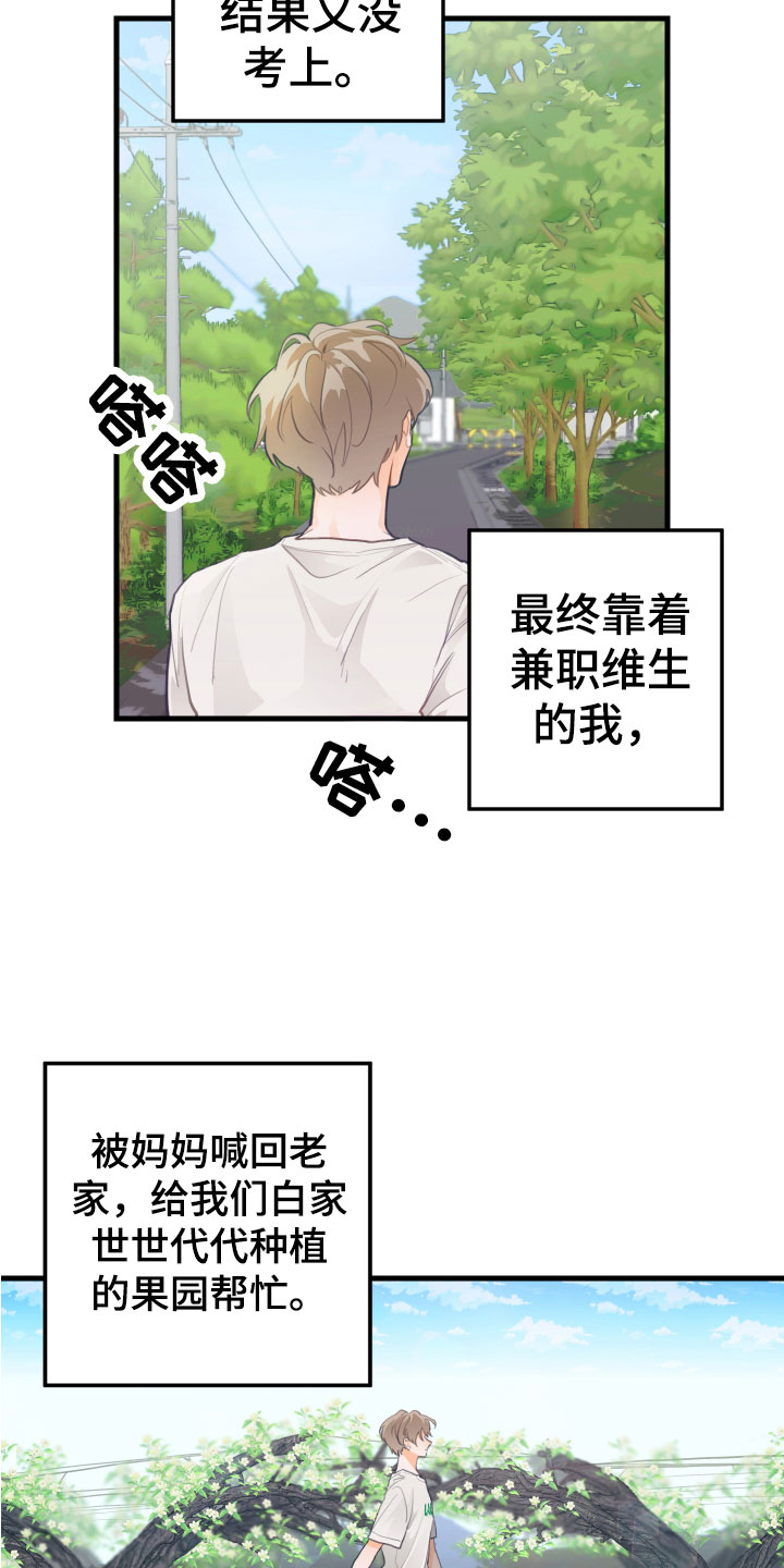 梨花盛开的爱 -  回到故乡 - 第7页