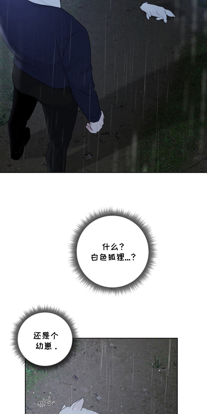 白狐日记 - 白狐 - 第22页