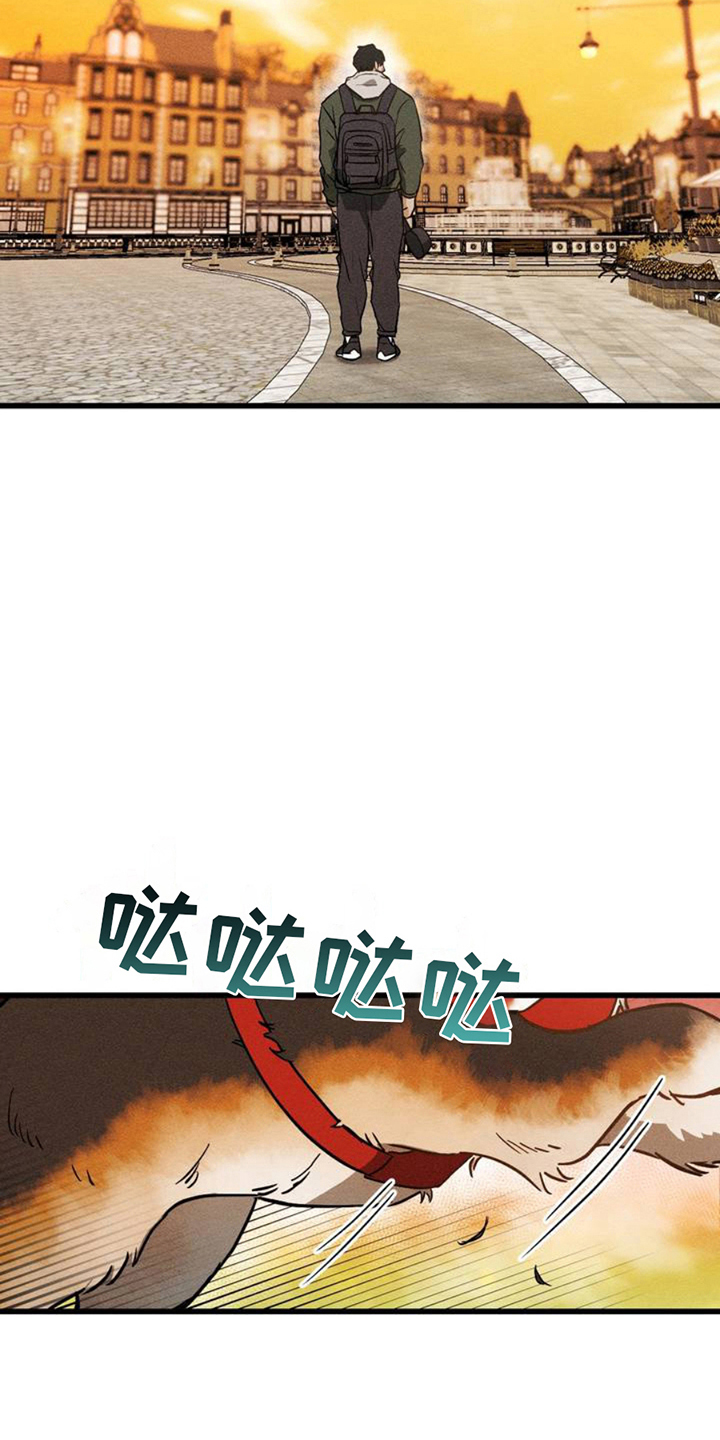 异国替身 - 相似 - 第8页