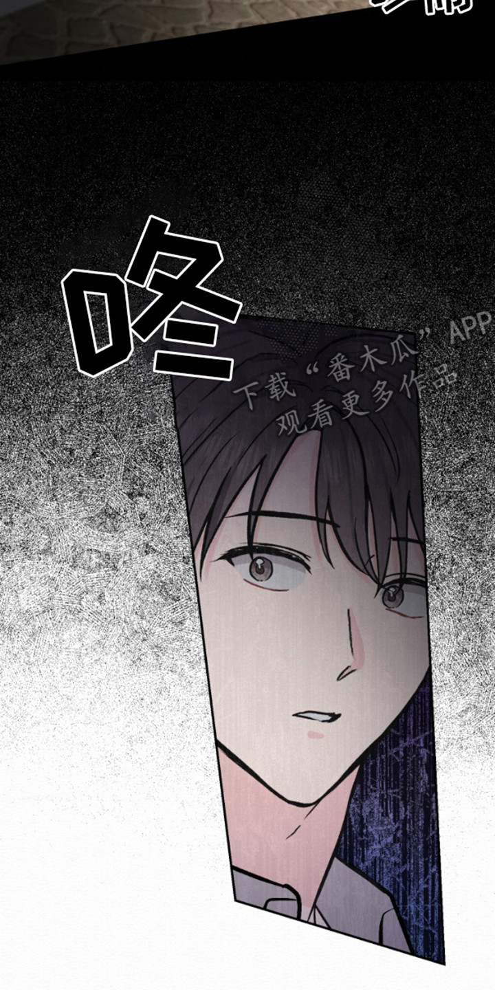 沉香记忆 - 车祸 - 第19页