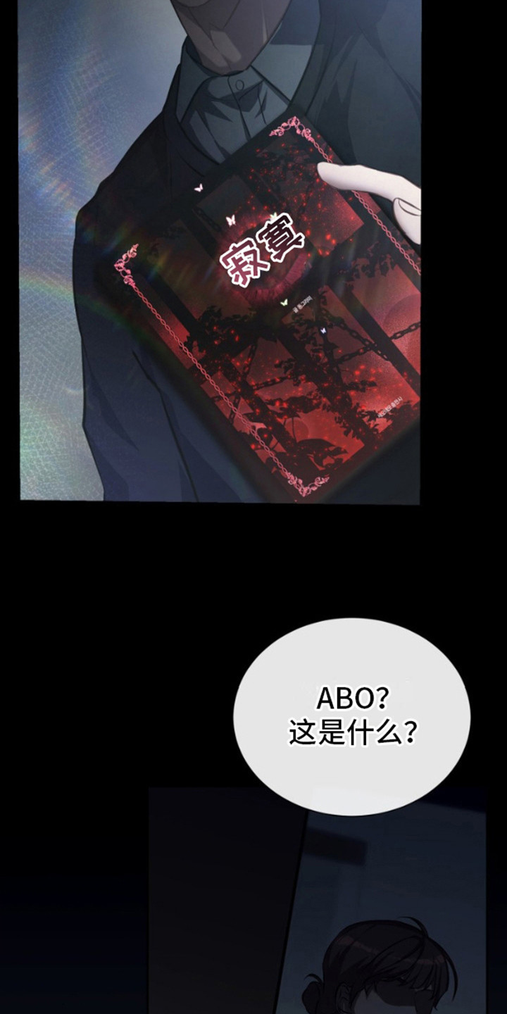 温柔执念 - 拍卖会 - 第11页
