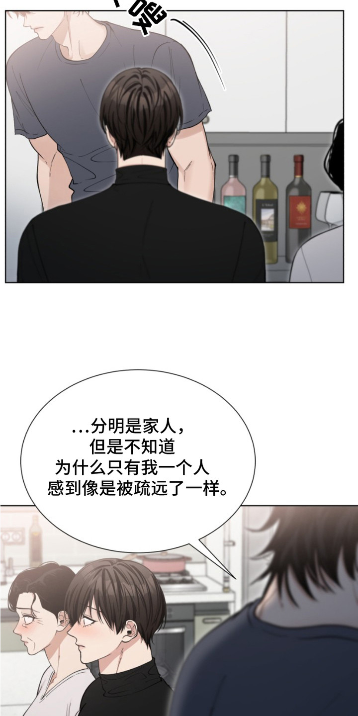 双向反转 - 解释 - 第14页