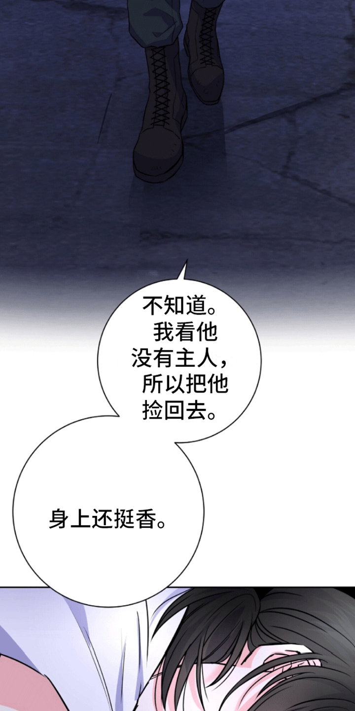 厌恶万岁 - 被带走 - 第36页