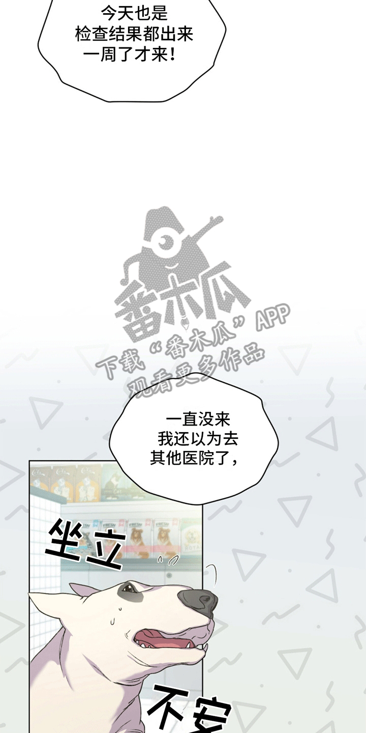 呼吸的记忆 - 凶杀案 - 第8页