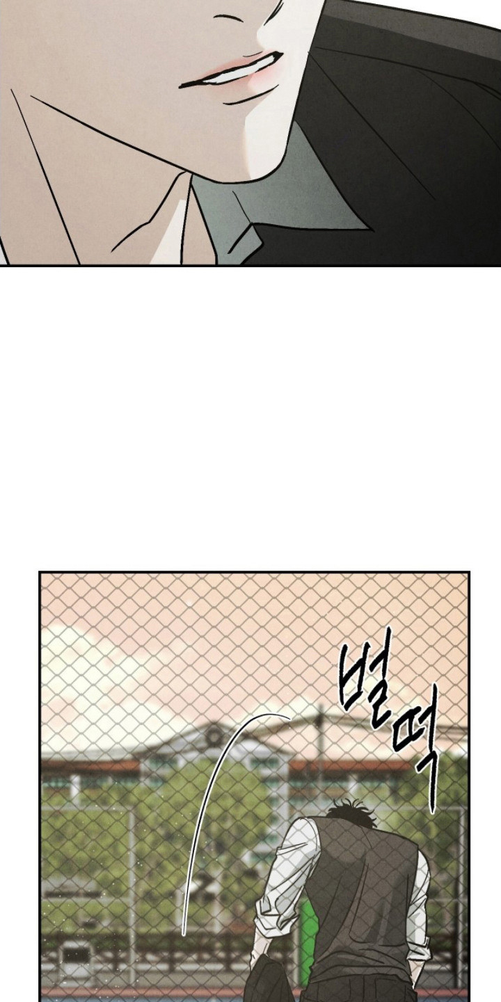不透明关系 - 第二属性 - 第12页