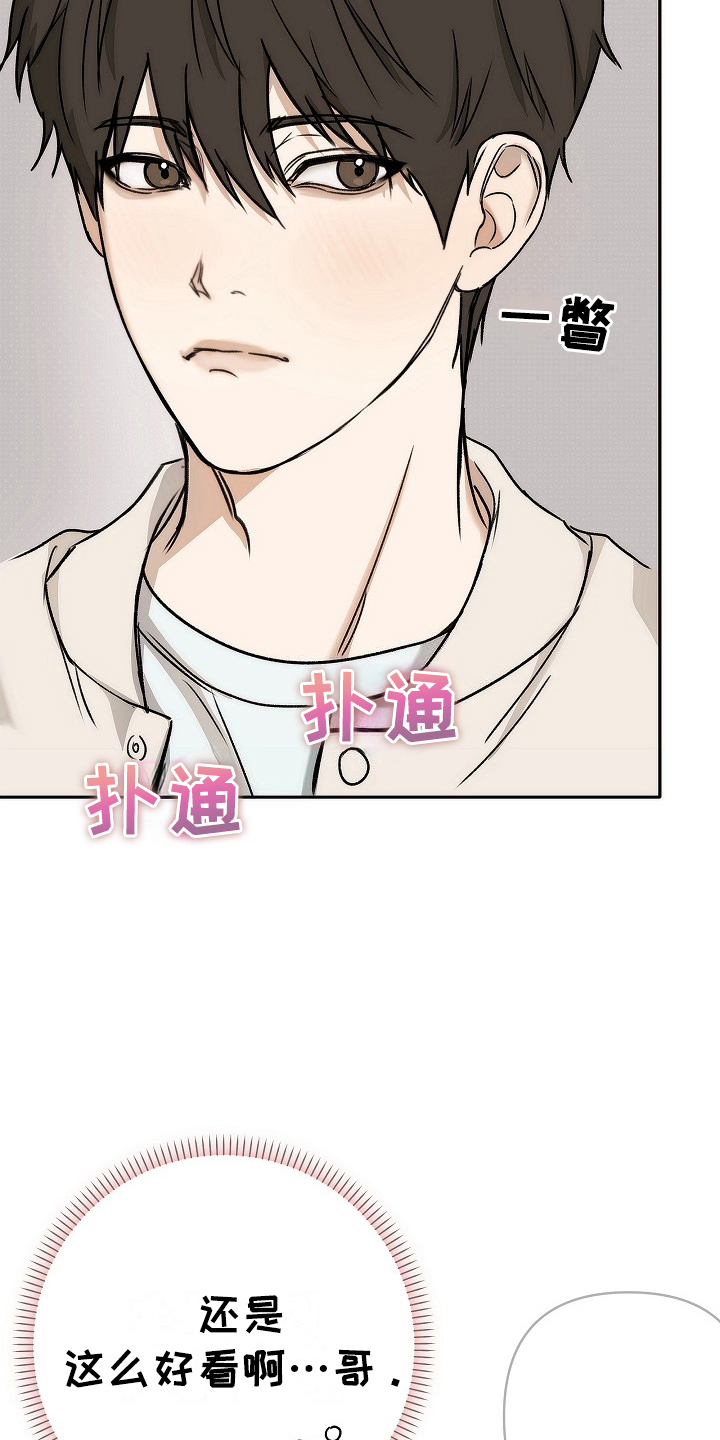 引爆点 - 英语教养课 - 第6页