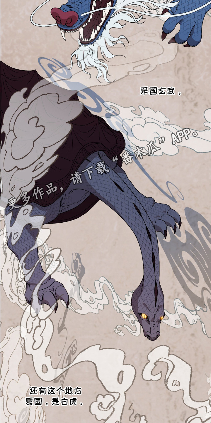 白虎之王 - 神兽 - 第6页