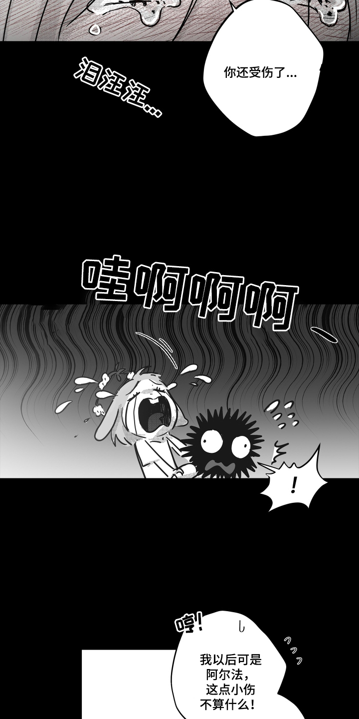 破碎花环之约 - 承诺 - 第8页