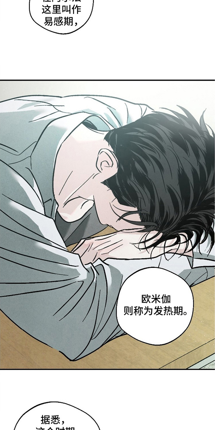 不透明关系 - 第二属性 - 第23页