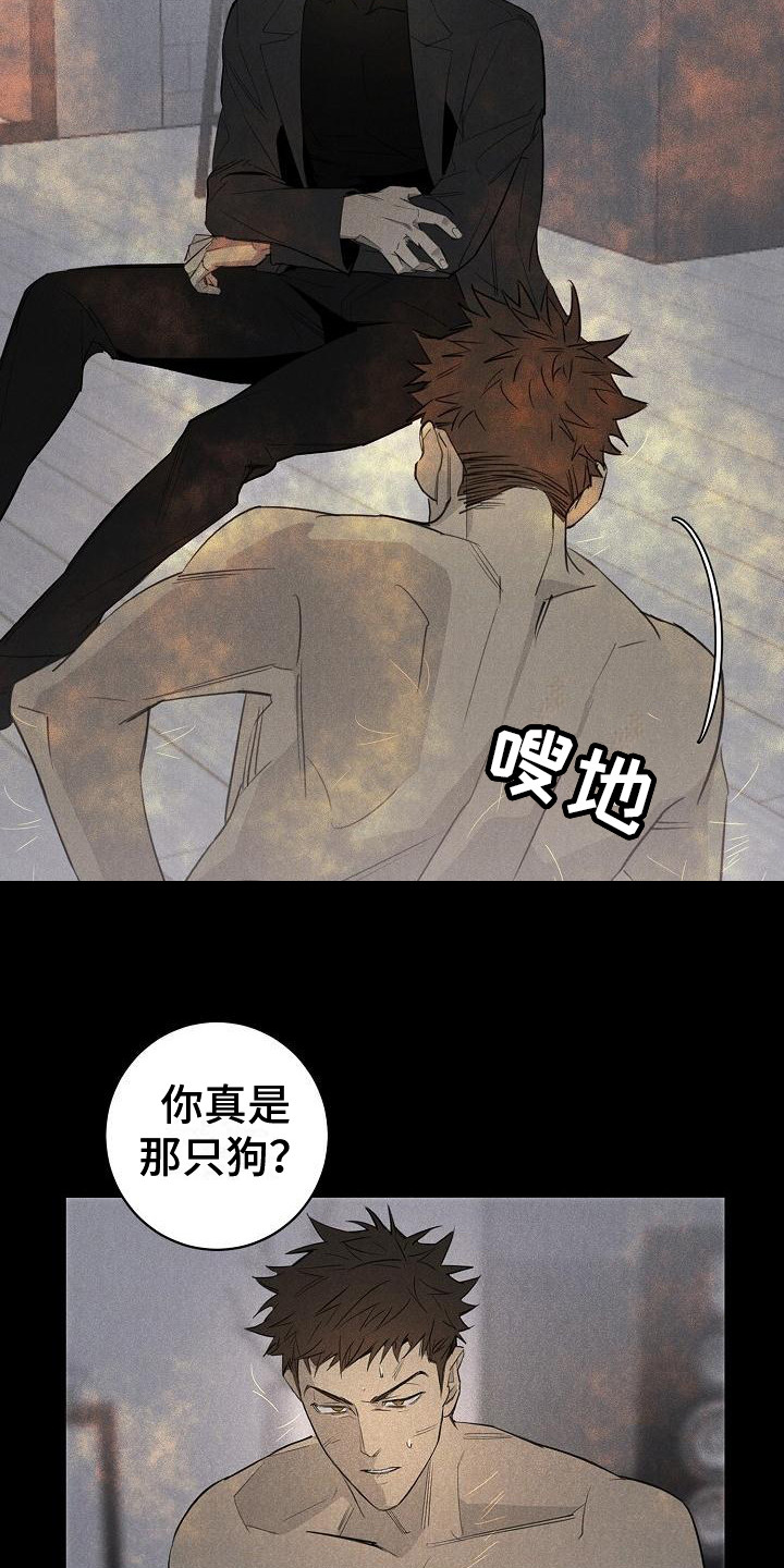 迷失方向 - 赶走 - 第6页