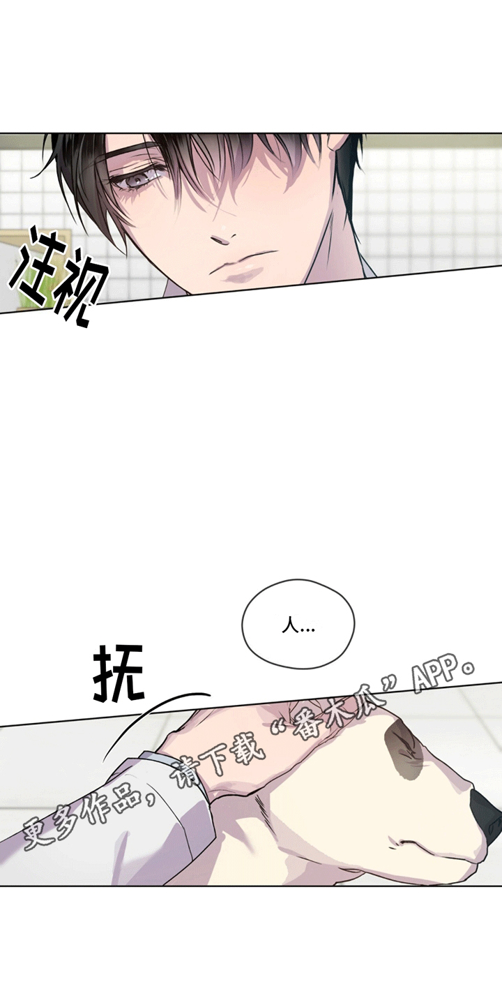 呼吸的记忆 - 凶杀案 - 第17页