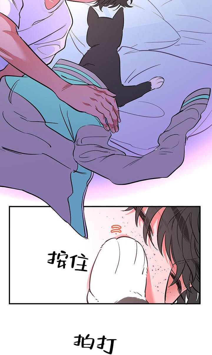 交错的海洋 -   - 第14页