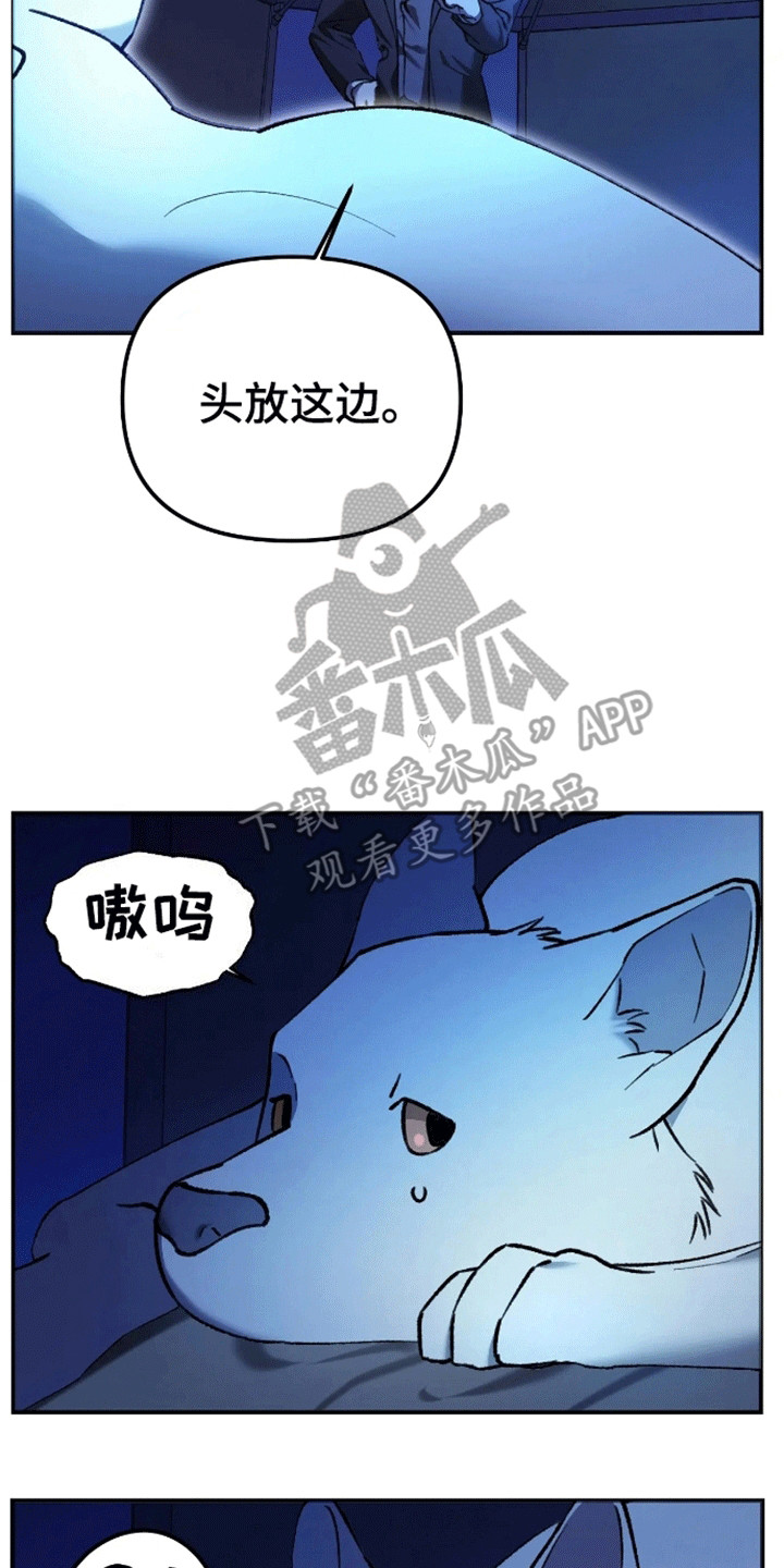 笼中白狼 - 睡眠搭子 - 第11页