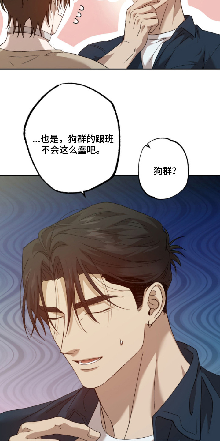 双生悲愿 - 病秧子 - 第17页
