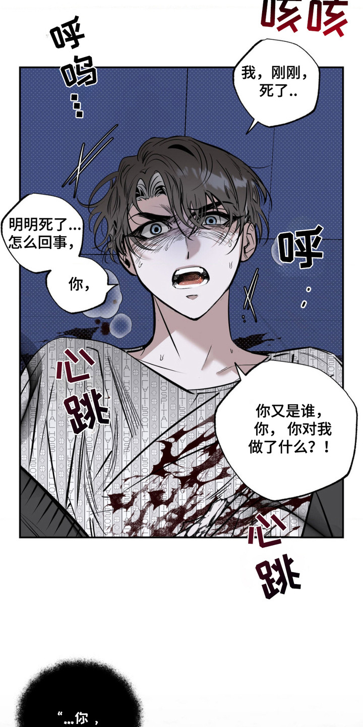 月下蛇影 - 诅咒之匣 - 第21页