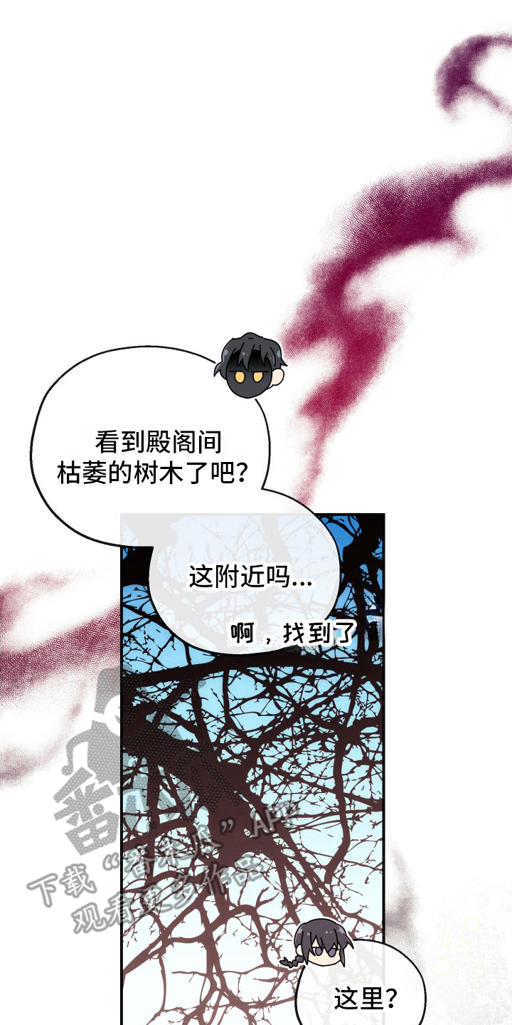 虚拟婚姻 - 再次组队 - 第15页