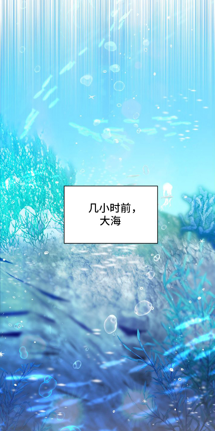 鲨鱼的新娘 - 兔子雕刻 - 第11页