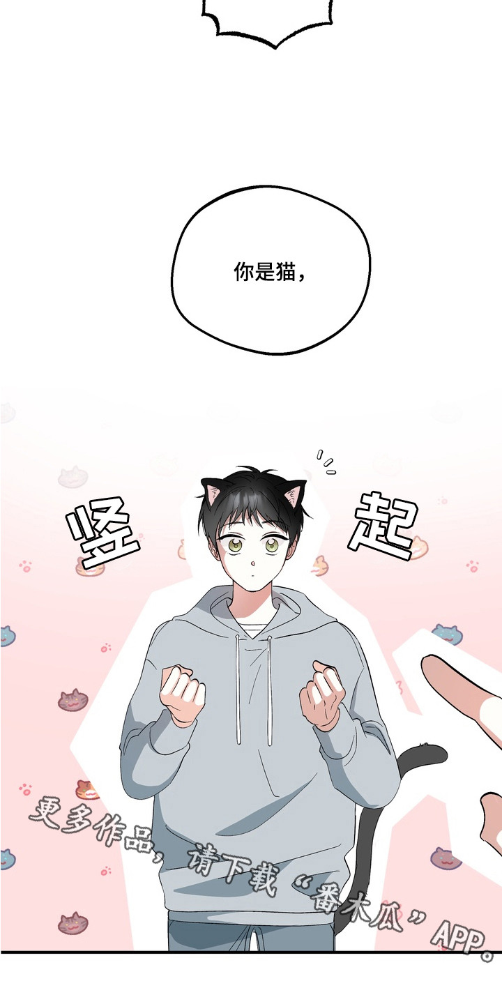 我的老鼠学长 - 表白 - 第6页