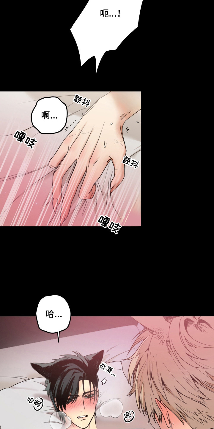 兔入狐窝 - 恩怨纠葛 - 第19页