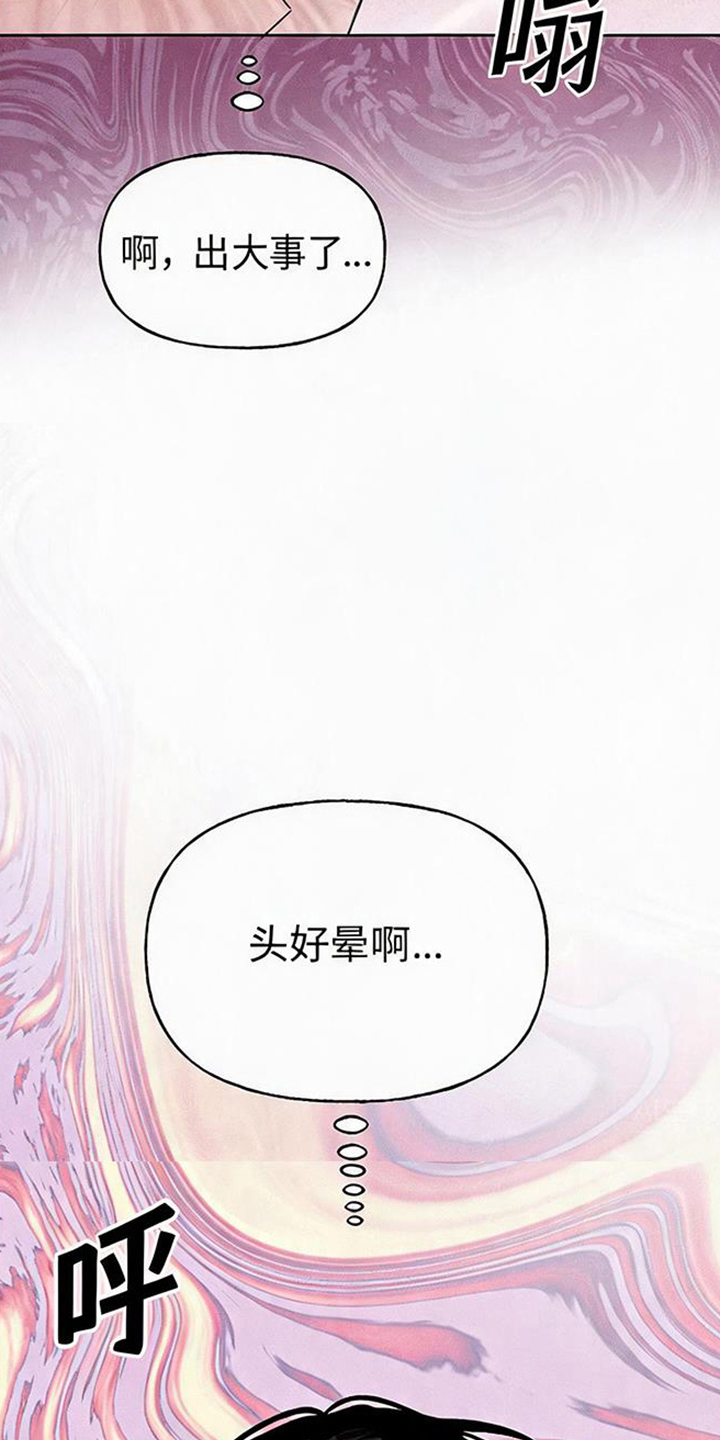 坠落的特技 - 你是哪里的演员 - 第19页